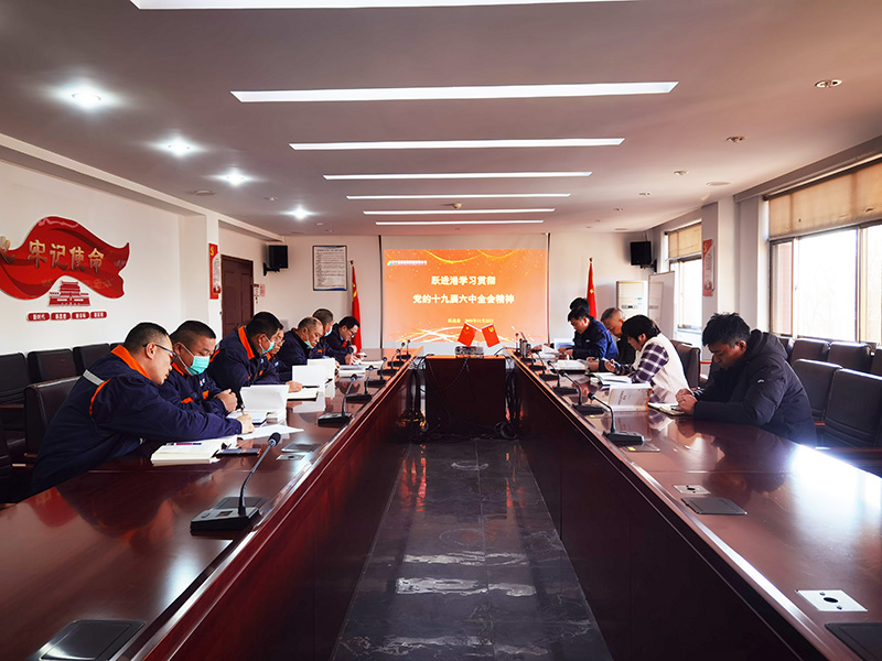 1637670210126994.jpg 800.jpg