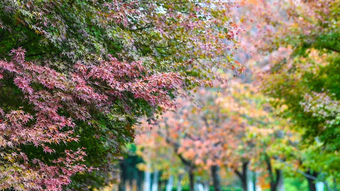 1667702031411769.png 微信截图_20221106103022.png