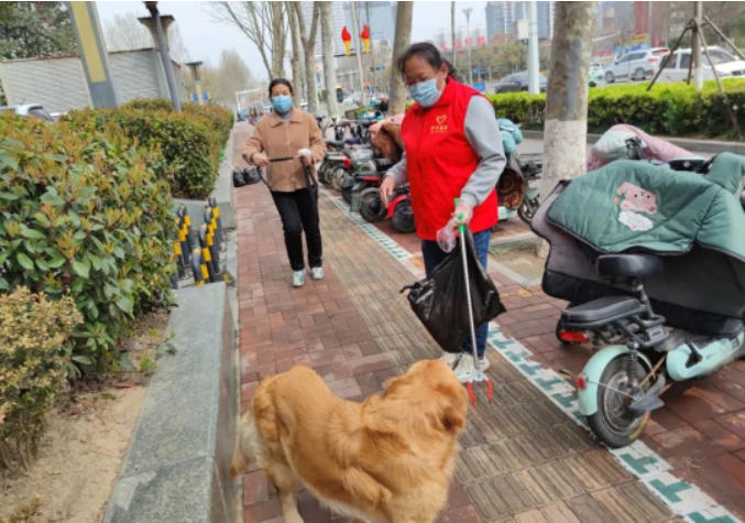 1679533229420073.png image.png