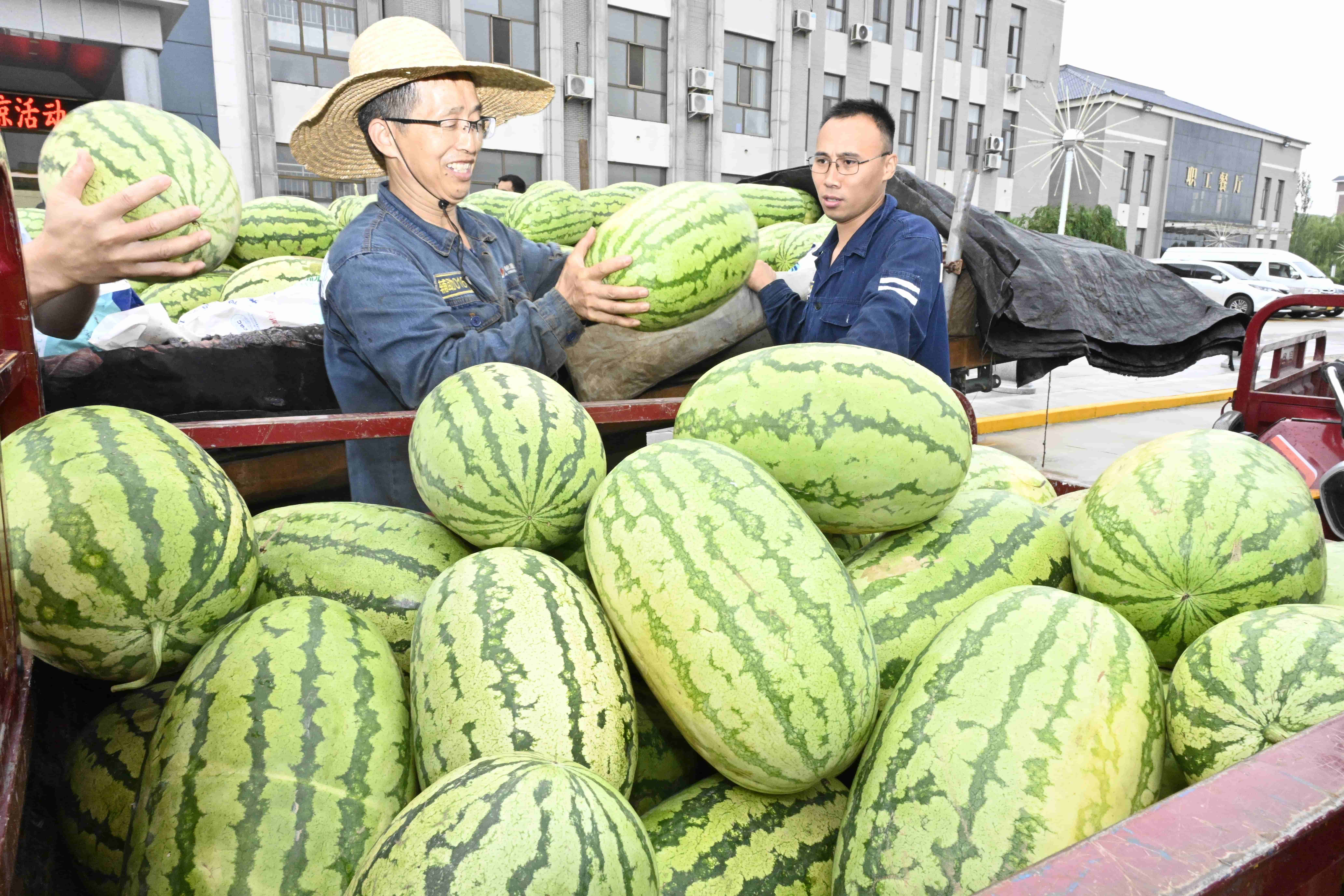 1690700276834826.jpg _DSC3037.JPG