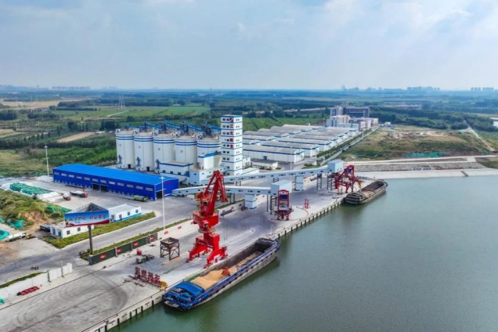 粮食跑在“黄金水道”上！江北粮食物流园多举措为“北粮南运”保驾护航