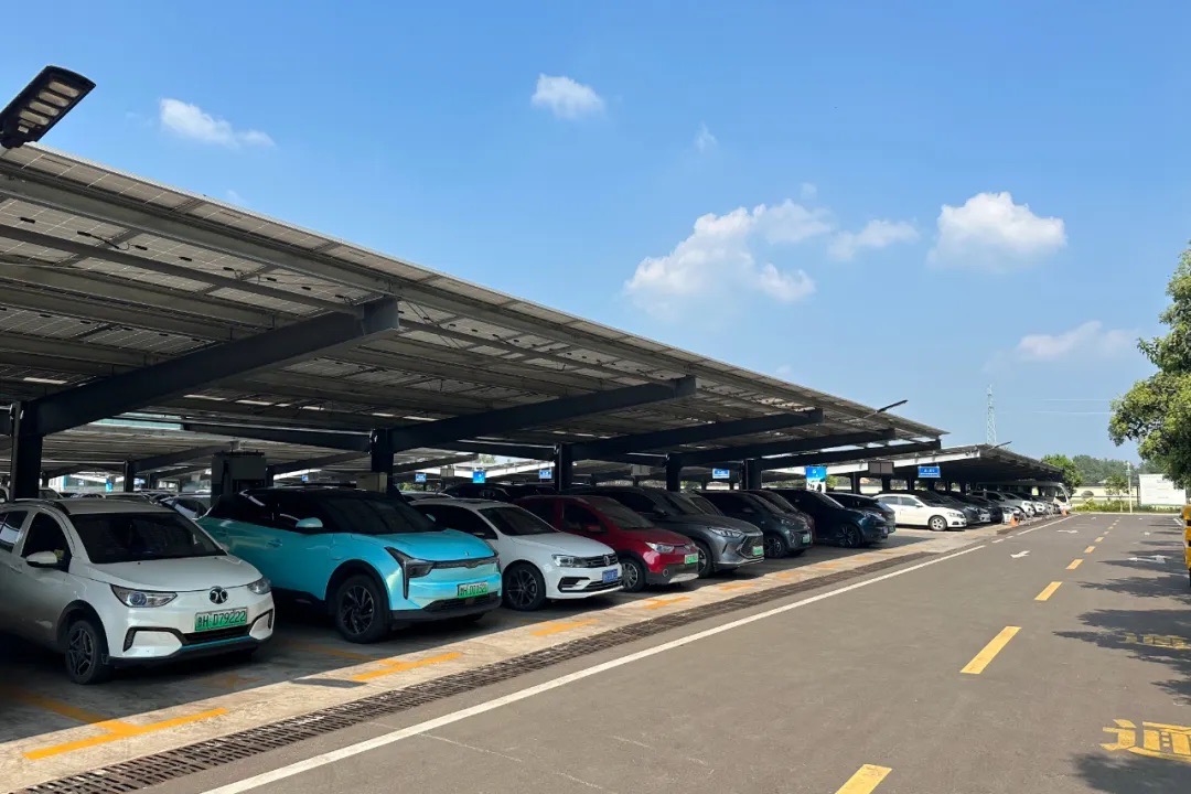 1726296753780553.jpg bcdeb9651c73257cb8fa758c6774e90.jpg