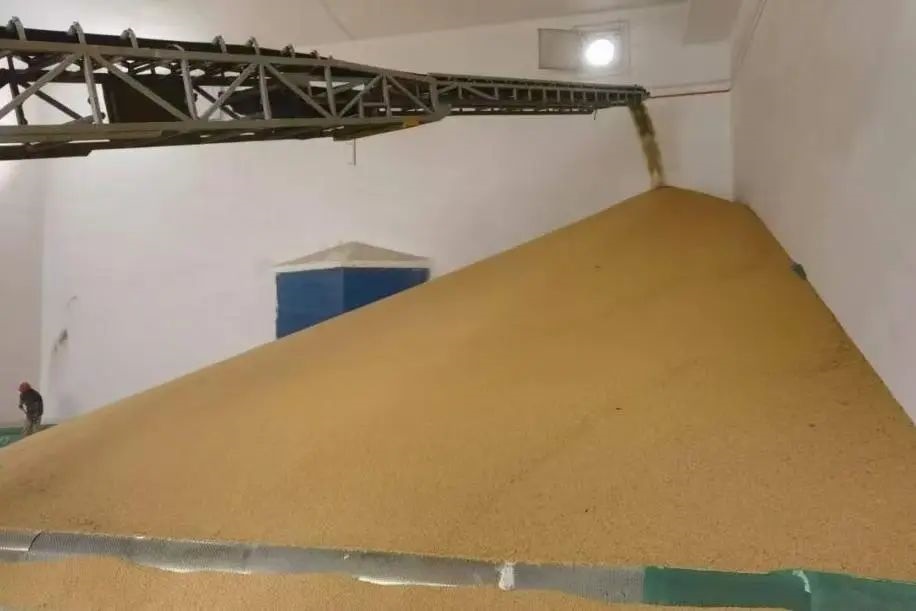 1731650612976262.jpg 0001.jpg