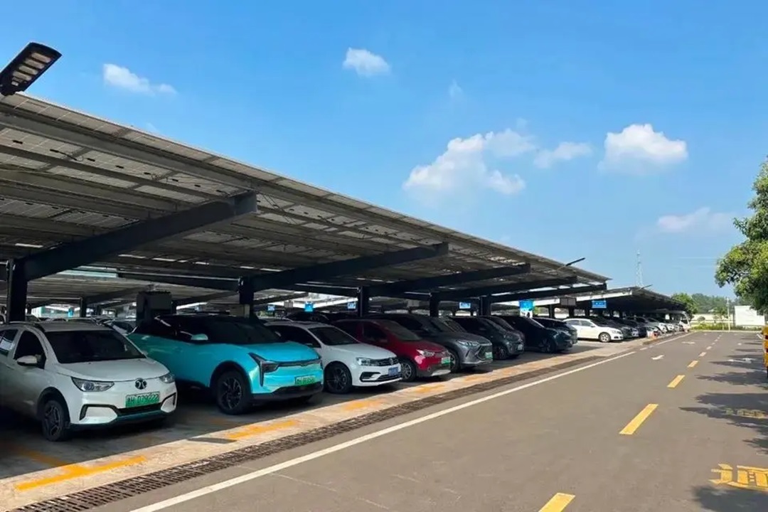 1732004188642636.jpg 0006.jpg