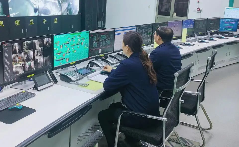 1733994111350278.jpg 0001.jpg