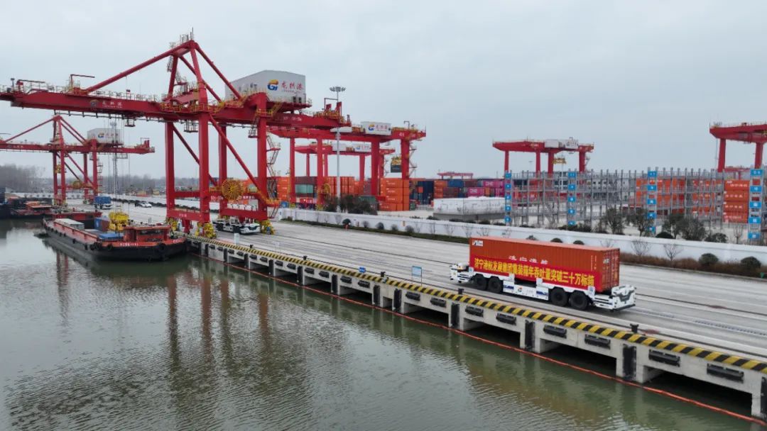 1734683137977294.jpg 0006.jpg