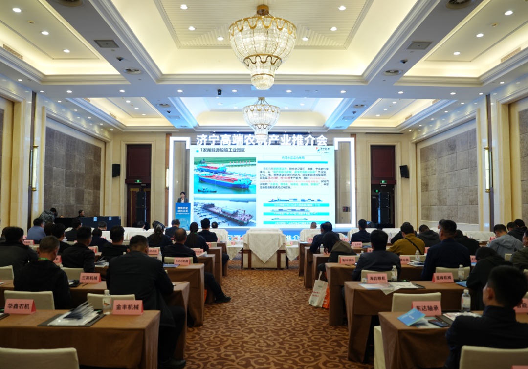 1761544980106538.jpg 05.jpg