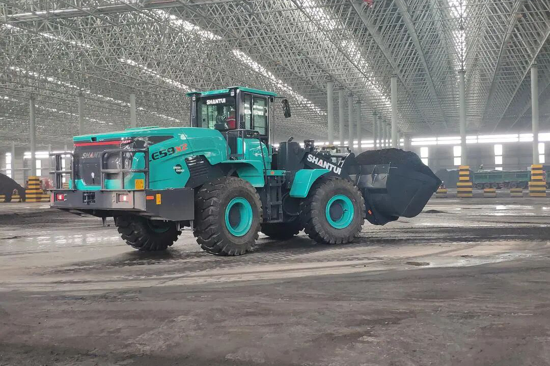 1764719549448821.jpg 01.jpg